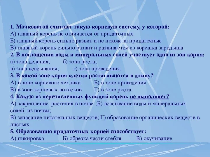 1. Мочковатой считают такую корневую систему, у которой: А) главный корень не