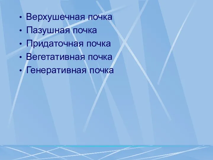 Верхушечная почка Пазушная почка Придаточная почка Вегетативная почка Генеративная почка