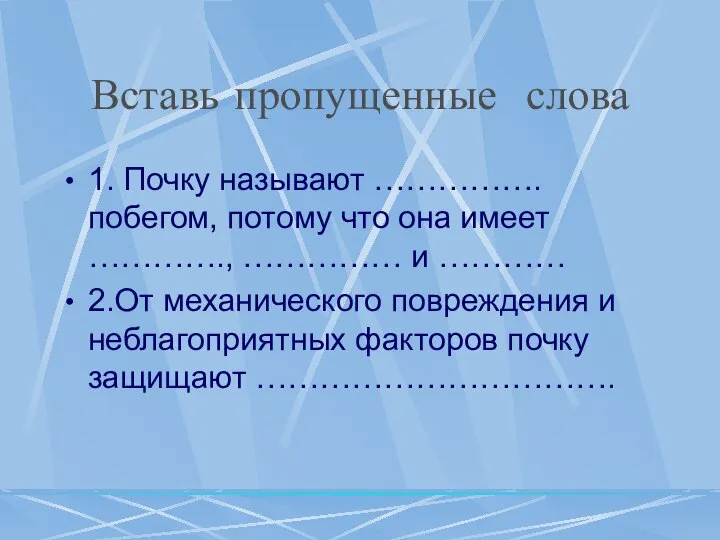 Вставь пропущенные слова 1. Почку называют …………….побегом, потому что она имеет ………….,