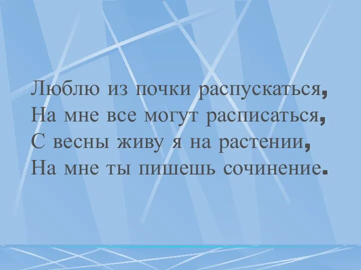 Люблю из почки распускаться, На мне все могут расписаться, С весны живу