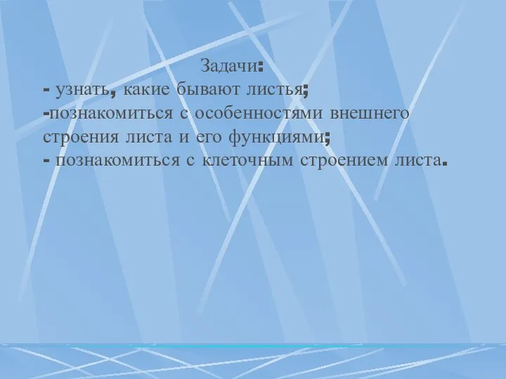 Задачи: - узнать, какие бывают листья; -познакомиться с особенностями внешнего строения листа