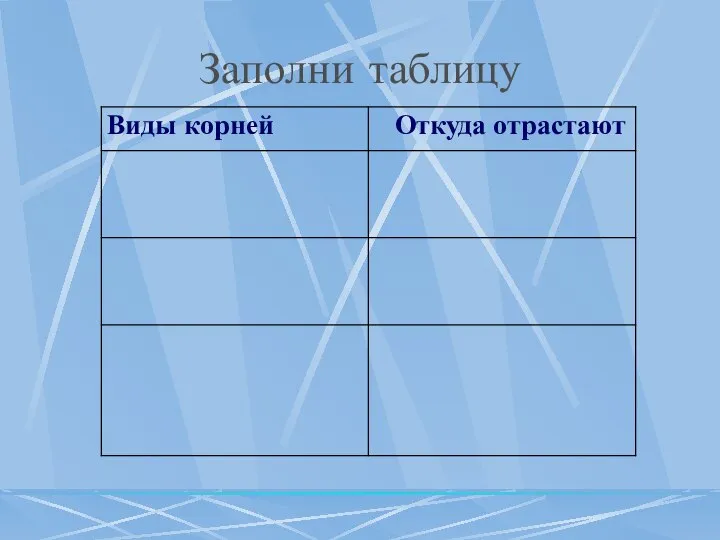 Заполни таблицу