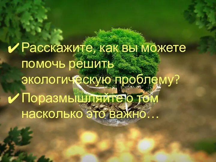 Расскажите, как вы можете помочь решить экологическую проблему? Поразмышляйте о том насколько это важно…