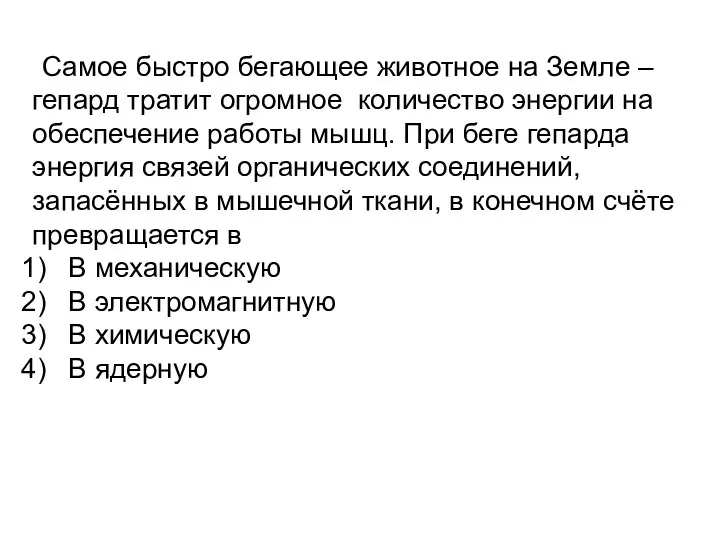 Самое быстро бегающее животное на Земле – гепард тратит огромное количество энергии