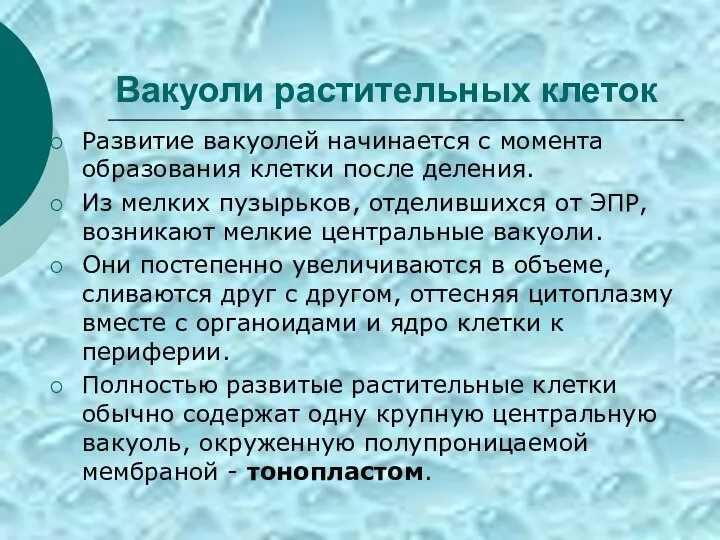 Вакуоли растительных клеток Развитие вакуолей начинается с момента образования клетки после деления.