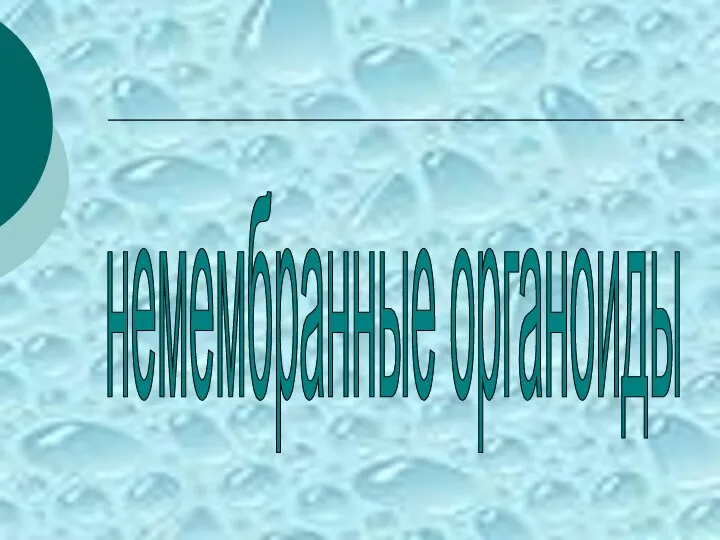 немембранные органоиды