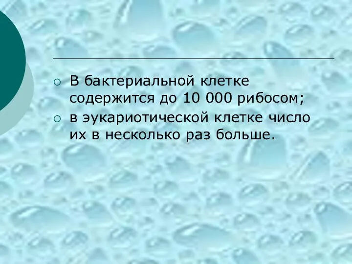 В бактериальной клетке содержится до 10 000 рибосом; в эукариотической клетке число