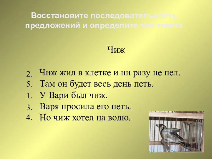 Чиж Чиж жил в клетке и ни разу не пел. Там он