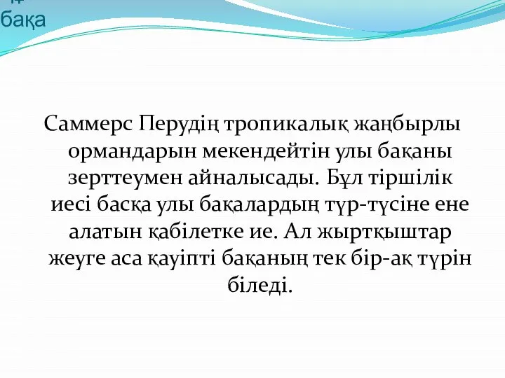 Құбылмалы бақа Саммерс Перудің тропикалық жаңбырлы ормандарын мекендейтін улы бақаны зерттеумен айналысады.