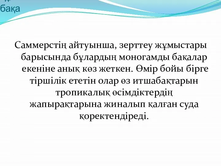 Құбылмалы бақа Саммерстің айтуынша, зерттеу жұмыстары барысында бұлардың моногамды бақалар екеніне анық