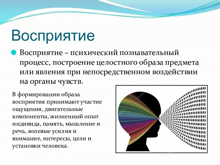 Восприятие Восприятие – психический познавательный процесс, построение целостного образа предмета или явления