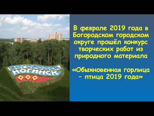 В феврале 2019 года в Богородском городском округе прошёл конкурс творческих работ