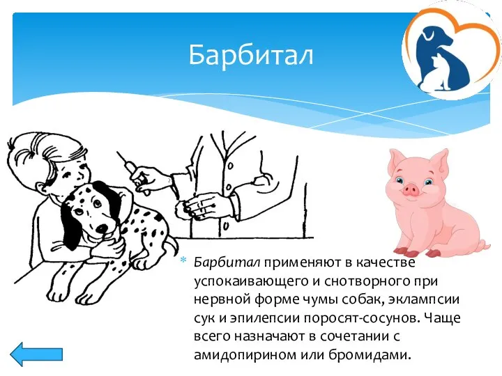 Барбитал применяют в качестве успокаивающего и снотворного при нервной форме чумы собак,