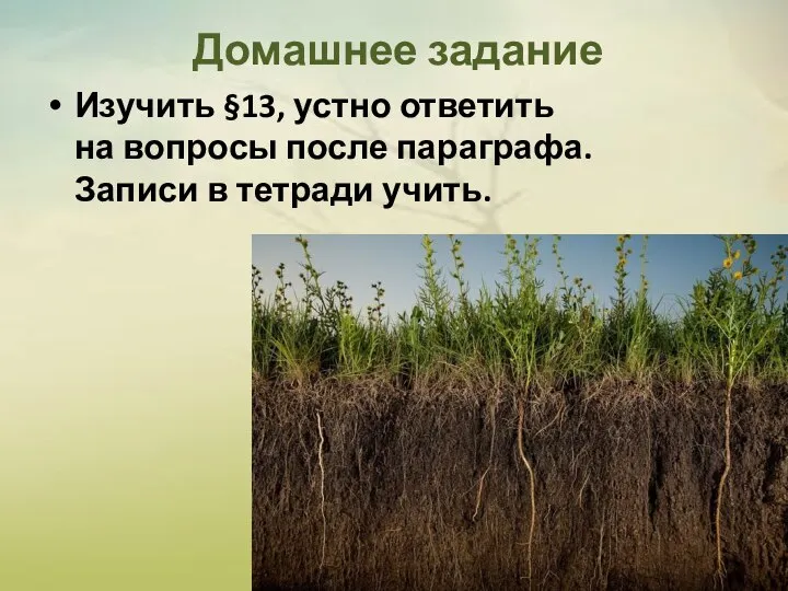 Домашнее задание Изучить §13, устно ответить на вопросы после параграфа. Записи в тетради учить.