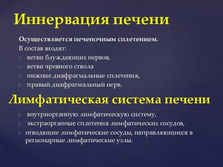 Осуществляется печеночным сплетением. В состав входят: ветви блуждающих нервов, ветви чревного ствола