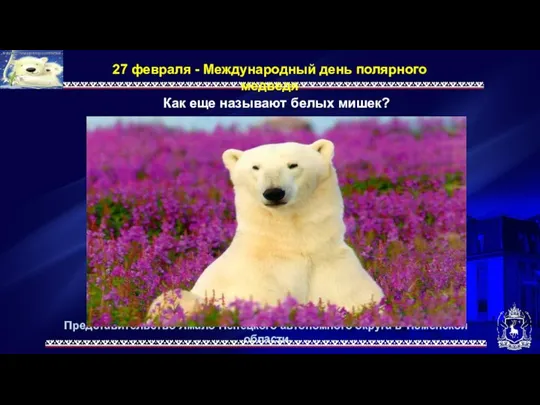 Представительство Ямало-Ненецкого автономного округа в Тюменской области 27 февраля - Международный день