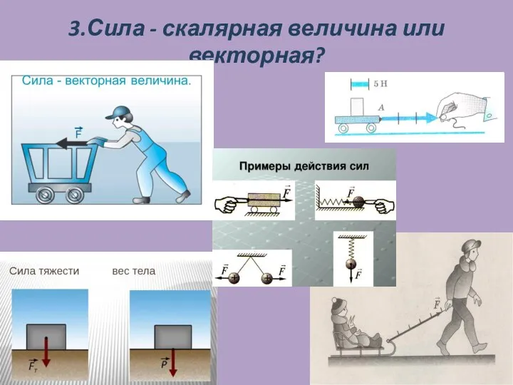 3.Сила - скалярная величина или векторная?