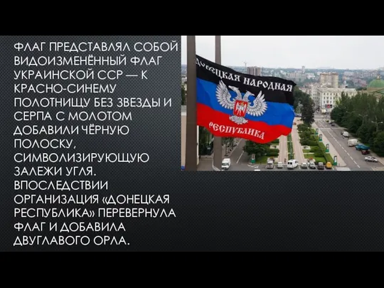 ФЛАГ ПРЕДСТАВЛЯЛ СОБОЙ ВИДОИЗМЕНЁННЫЙ ФЛАГ УКРАИНСКОЙ ССР — К КРАСНО-СИНЕМУ ПОЛОТНИЩУ БЕЗ