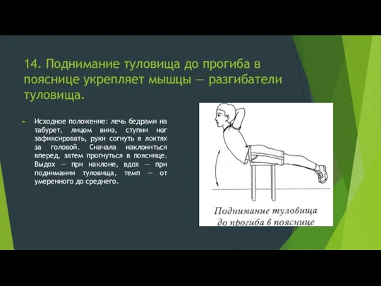 14. Поднимание туловища до прогиба в пояснице укрепляет мышцы — разгибатели туловища.