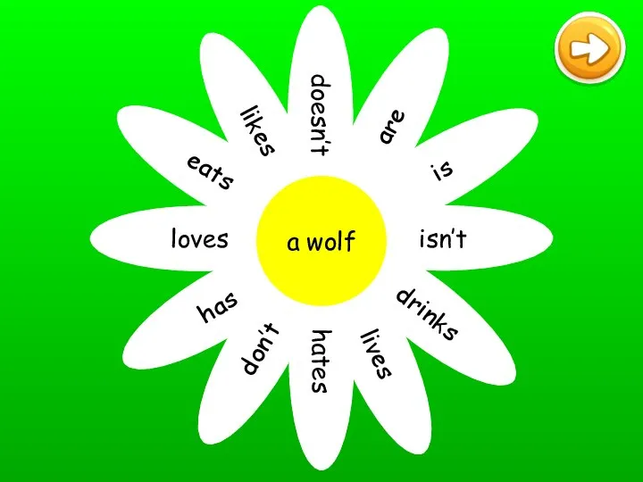 doesn’t are is isn’t drinks lives hates don’t has loves eats likes a wolf