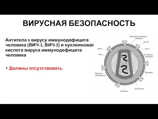 Антитела к вирусу иммунодефицита человека (ВИЧ-1, ВИЧ-2) и нуклеиновая кислота вируса иммунодефицита