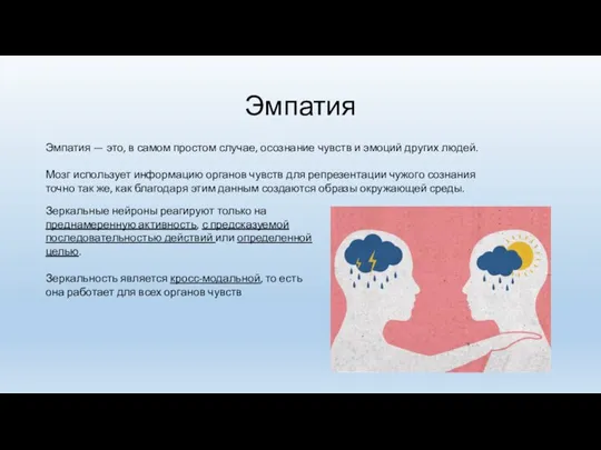 Эмпатия Мозг использует информацию органов чувств для репрезентации чужого сознания точно так