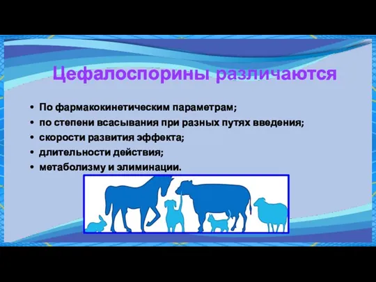 Цефалоспорины различаются По фармакокинетическим параметрам; по степени всасывания при разных путях введения;