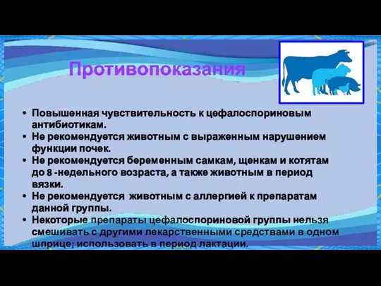 Противопоказания Повышенная чувствительность к цефалоспориновым антибиотикам. Не рекомендуется животным с выраженным нарушением