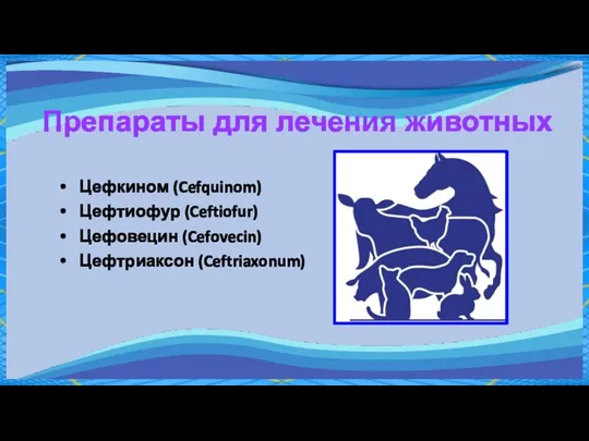 Препараты для лечения животных Цефкином (Cefquinom) Цефтиофур (Ceftiofur) Цефовецин (Cefovecin) Цефтриаксон (Ceftriaxonum)