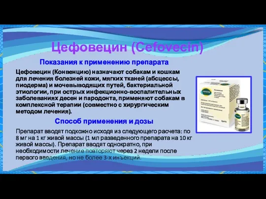 Цефовецин (Cefovecin) Показания к применению препарата Цефовецин (Конвенцию) назначают собакам и кошкам