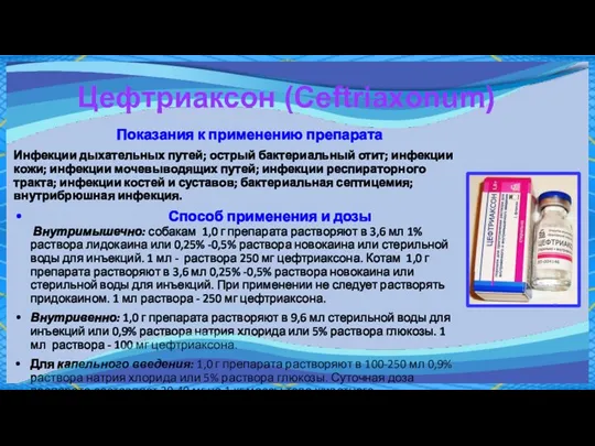 Цефтриаксон (Ceftriaxonum) Показания к применению препарата Инфекции дыхательных путей; острый бактериальный отит;