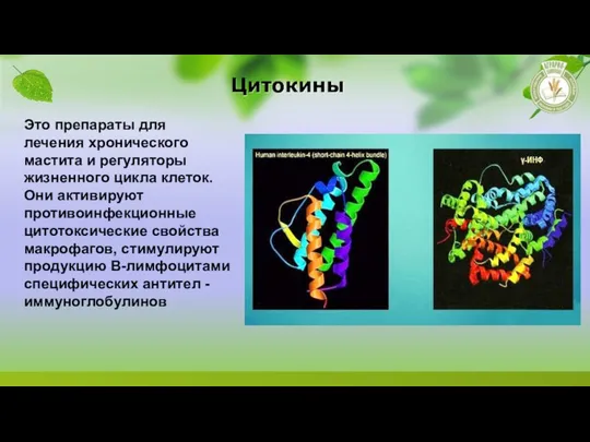 Цитокины Это препараты для лечения хронического мастита и регуляторы жизненного цикла клеток.