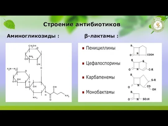 Строение антибиотиков Аминогликозиды : β-лактамы :