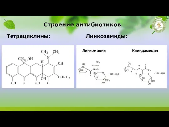 Строение антибиотиков Тетрациклины: Линкозамиды: