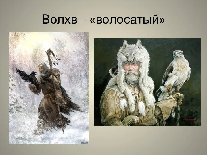 Волхв – «волосатый»