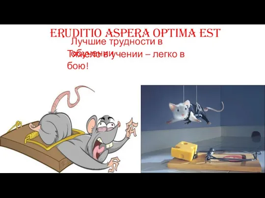Eruditio aspera optima est Лучшие трудности в обучении Тяжело в учении – легко в бою!