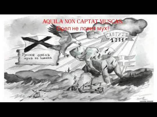 Aquila non captat muscas. Орел не ловит мух!