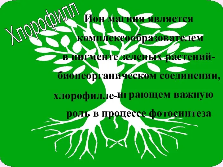 Хлорофилл Ион магния является комплексообразователем в пигменте зеленых растений- бионеорганическом соединении, играющем