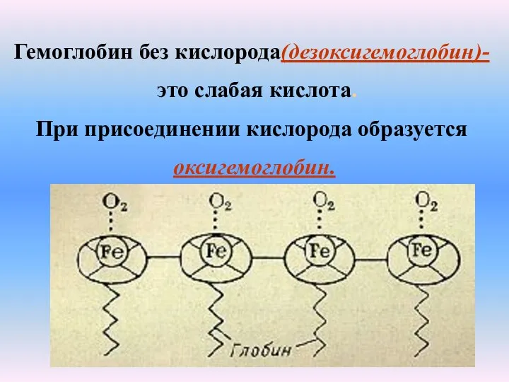 Гемоглобин без кислорода(дезоксигемоглобин)- это слабая кислота. При присоединении кислорода образуется оксигемоглобин.