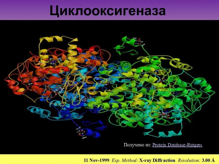 Циклооксигеназа 11 Nov-1999 Exp. Method: X-ray Diffraction Resolution: 3.00 Å Получено из: Protein Database-Rutgers