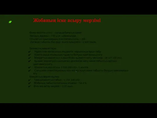 Жобаның іске асыру мерзімі Өнер кәсіптің үлгісі – орташа бағалық санат. Залдың