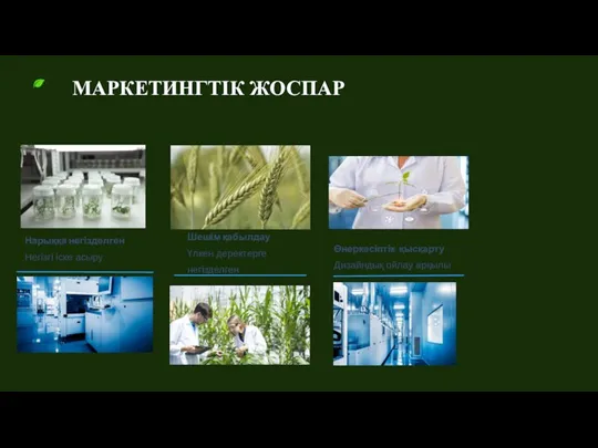 Нарыққа негізделген Негізгі іске асыру Шешім қабылдау Үлкен деректерге негізделген Өнеркәсіптік қысқарту