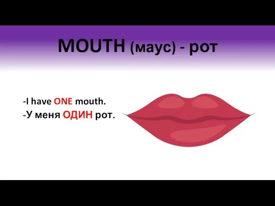 MOUTH (маус) - рот I have ONE mouth. У меня ОДИН рот.