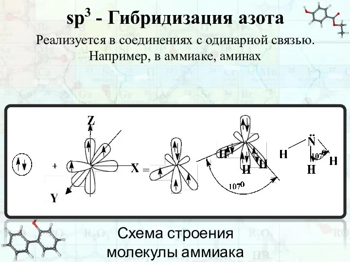 sp3 - Гибридизация азота Реализуется в соединениях с одинарной связью. Например, в