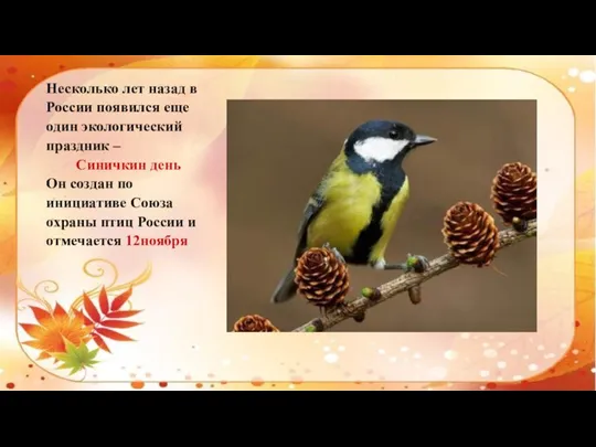 Несколько лет назад в России появился еще один экологический праздник – Синичкин