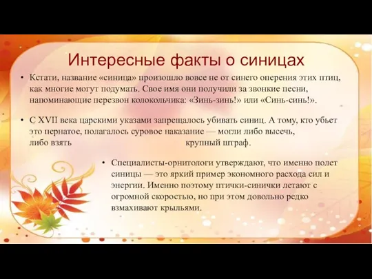 Интересные факты о синицах Кстати, название «синица» произошло вовсе не от синего