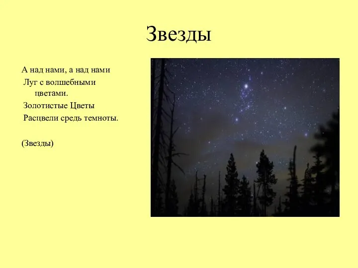 Звезды А над нами, а над нами Луг с волшебными цветами. Золотистые