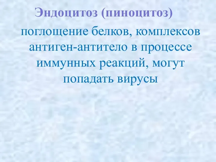 Эндоцитоз (пиноцитоз) поглощение белков, комплексов антиген-антитело в процессе иммунных реакций, могут попадать вирусы