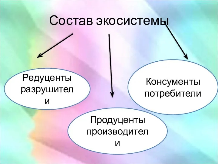 Состав экосистемы Редуценты разрушители Продуценты производители Консументы потребители