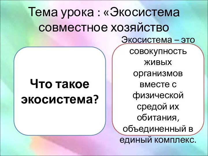 Тема урока : «Экосистема совместное хозяйство Что такое экосистема? Экосистема – это